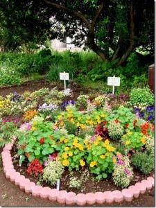花壇の中に色鮮やかに咲いた花々の写真